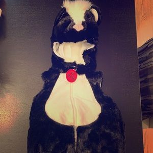 Little Stinker Halloween Costume